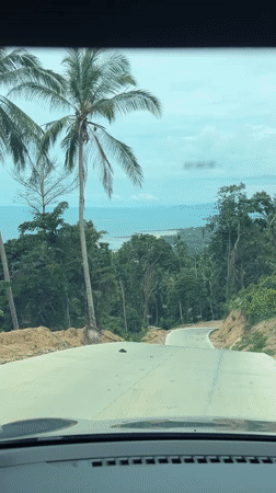 Dawn drive captured on palm-lined road in Ko Samui