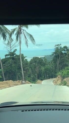 Dawn drive captured on palm-lined road in Ko Samui