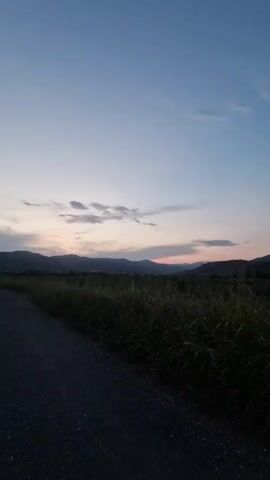 A dirt road runs alongside a field of tall grass. In the distance, a line of mountains stretches across the horizon under a pale blue sky with wispy clouds. The lighting suggests it is either dawn or dusk.