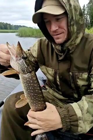 A person in a camouflage jacket and hat is in a boat on the water. The person is holding a fish by the tail. The person then releases the fish back into the water. The person then smiles and gives two thumbs up to the camera. The environment appears to be a natural setting with trees and reeds along the shoreline.