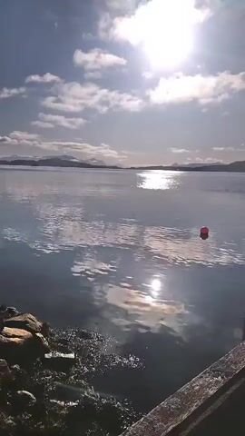 A video begins with a shot of a calm body of water reflecting the sun, with a bright sun and clouds in the sky. In the foreground, part of a wooden dock is visible, with metal ladder rungs extending into the water. A red buoy floats in the water. The camera then pans to the right, revealing a concrete pier extending into the water, with hills in the background. The sun is still prominent in the sky, casting reflections on the water. The pier is empty except for some structures at its end, and a pole is visible. The camera continues to move along the pier, providing a wider view of the water and the distant hills. The video ends with a shot looking down the pier towards the structures at its end.