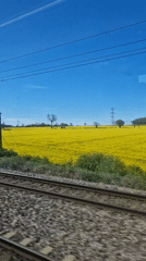 Train passenger films daytime journey through South Kesteven countryside
