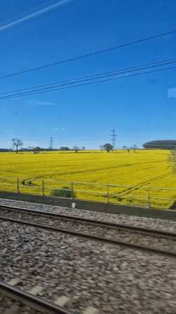 Train passenger films daytime journey through South Kesteven countryside