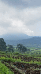 Rural landscape documented in Selotapak, Indonesia morning views