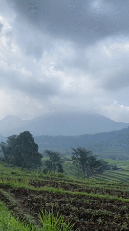 Rural landscape documented in Selotapak, Indonesia morning views