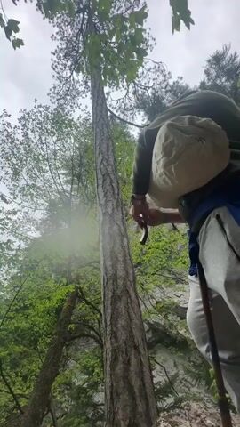 The video shows a person standing on a rocky surface near a tall, straight tree. The person is wearing a dark jacket, gray pants, and a light-colored backpack. They are holding a dark object in their hands and have a hiking stick. Lush green foliage surrounds them, with other trees and a rocky cliff face visible. The sky is overcast. The person appears to be manipulating a musical instrument, producing a sound resembling a bagpipe.