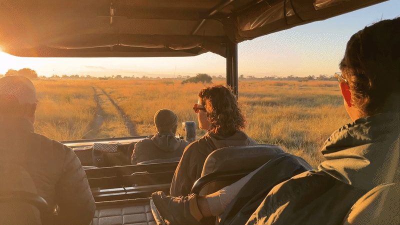 Safari vehicle crosses Botswana grasslands at sunrise