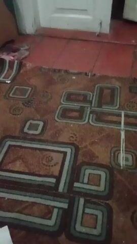 The scene is a close-up of a floor with a brown, patterned carpet. The carpet has a repeating geometric design consisting of squares and circles. In the upper right, there's a portion of a white door and some red tiles. Near the top left, there's a blurry object that appears to be clothing or fabric. There's also a white object on the lower left of the frame. The overall lighting is subdued and the scene appears slightly dusty.