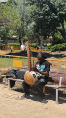 Musician plays traditional kora on Barcelona park bench