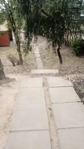 A first-person perspective video shows a person walking down a set of outdoor concrete stairs. The stairs are flanked by dirt and sparse vegetation. Trees with hanging branches are visible in the background, casting shadows. The person's feet and shoes are visible at the bottom of the frame.