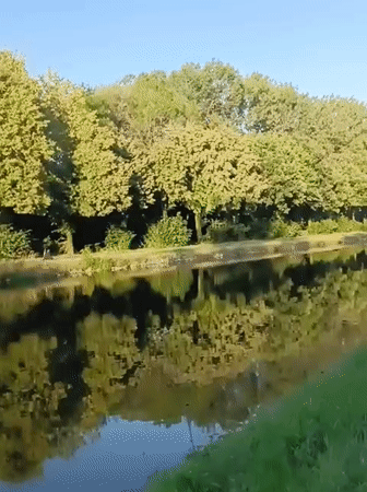 Sunny evening along Haacht's canal: cyclists, a houseboat, and a passing plane.