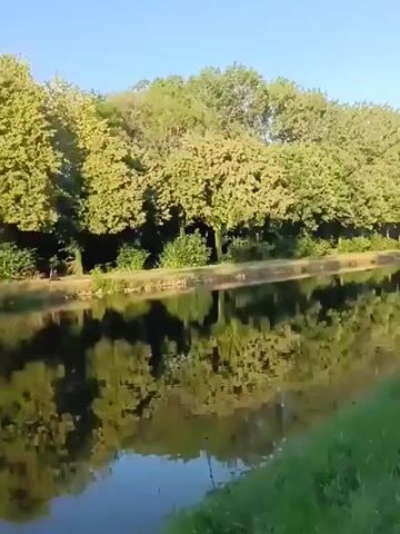 This is a video taken from a moving vehicle, likely a car, on a sunny day. The scene shows a canal on the left side of the road, with a line of trees reflecting in the water. The road is on the right side of the video, with a grassy verge between the road and the canal. The sky is clear and blue. The camera is angled slightly downwards, giving a sense of movement along the road. The video is taken at eye level, suggesting the viewer is sitting in the vehicle. There are no people or other vehicles visible in the video.
