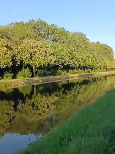 Sunny evening along Haacht's canal: cyclists, a houseboat, and a passing plane.