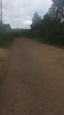 The video depicts a dirt road stretching into the distance under an overcast sky. Lush greenery lines both sides of the road, with trees and bushes obscuring the view beyond. A utility pole stands on the left side of the road. The road appears rough and uneven, composed of packed earth and small stones. The sky is gray, indicating cloudy weather. The overall scene conveys a sense of rural or natural environment.