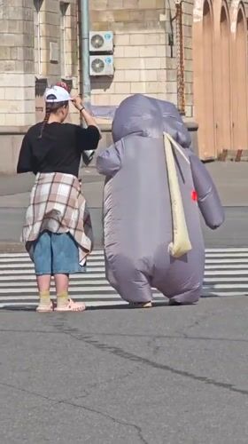 Inflatable elephant costumes roaming Saint Petersburg streets midday