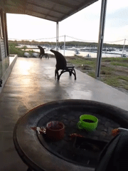 Man documents morning break at rural Indonesian location