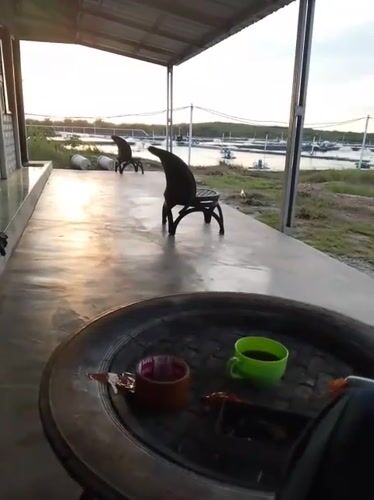 Man documents morning break at rural Indonesian location