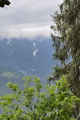 Witness documents misty mountain landscapes in Vashisht, India