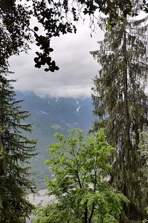 Witness documents misty mountain landscapes in Vashisht, India