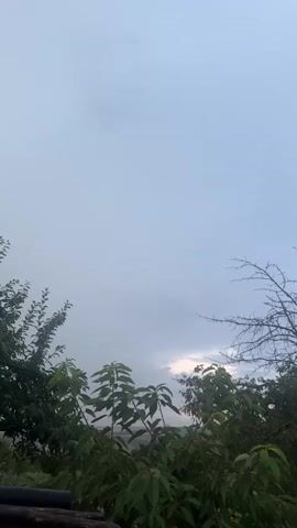 The video shows a static shot of a sky with some clouds. In the foreground, there are some green trees and branches. The light is dim, suggesting it may be early morning or late evening, or overcast. There are no people or animals visible. The overall scene is calm and natural.