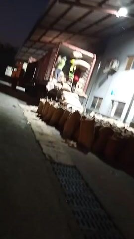 The video depicts an outdoor scene at dusk, likely a loading dock or warehouse area. A large trailer truck is backed up to a loading bay, with its rear doors open, revealing two individuals inside. The people are unloading sacks from the truck, possibly of grain or similar goods. The area around the truck is lined with rows of identical sacks. The lighting is dim, with overhead lights illuminating the loading area.