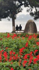 Evening life documented across Da Lat's parks and streets
