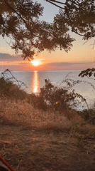 Tent camping on the Black Sea coast near Odesa