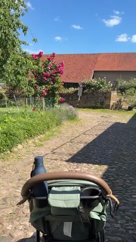 The video begins with a low-angle shot of a stroller on a cobblestone path. A dark blue water bottle is attached to the stroller's handle. The background features a red-roofed building with rose bushes in front. Sunlight casts long shadows across the path. The camera pans slightly to the right, revealing a white building with brown accents on the right side of the frame. A small dog, appearing to be a mixed breed with brown, black, and white markings, walks into the frame on the right, panting with its tongue out and a leash attached. The dog is looking towards the stroller. The scene is outdoors on a sunny day with a blue sky and scattered white clouds.