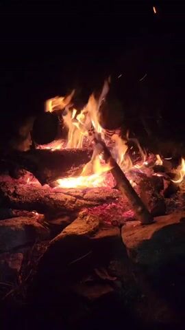 This is a close-up, vertical video of a campfire at night. The flames are bright orange and yellow, with some embers and sparks flying upwards. The logs are burning and glowing red. The surrounding area is dark, with only a few rocks and some dry grass visible. The camera is stable and focused on the fire.