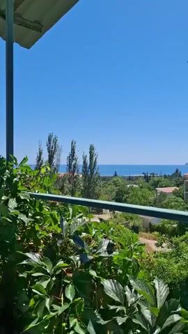 The video shows a view from a balcony with lush green foliage in the foreground. Beyond the foliage, there is a body of water that appears to be the sea, with a clear blue sky above. In the middle ground, there are several tall trees and buildings, indicating a populated area. Further in the distance, hills and mountains are visible, along with more buildings and vegetation. The overall impression is a scenic view of a coastal town on a sunny day. There are no people or specific actions depicted in the video.