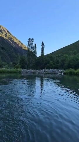 The video captures a serene river scene with lush green hillsides and a clear blue sky. The sun, likely in the morning or late afternoon given the angle of light, casts a warm glow on the mountains. The water is calm with gentle ripples, reflecting the surrounding trees and the bright sky.

The foreground shows the surface of the river, with the perspective suggesting the viewer is either in the water or on a boat very close to the surface. A small portion of what appears to be a person's leg or foot is visible at the bottom left corner of the frame, wearing white. This indicates the presence of at least one person, likely engaged in a recreational activity.

The background features a tranquil landscape. The river flows past a vegetated bank, leading to the base of steep, green mountains. Scattered trees dot the landscape, with two taller, slender trees standing out near the middle ground. The overall atmosphere is peaceful and natural, evoking a sense of calm and immersion in nature. No text is visible in the media file. The setting suggests a natural environment, possibly a park or a remote natural area, given the untouched appearance of the hillsides and riverbanks. The activity appears to be a leisurely moment of enjoying the natural beauty of the location.