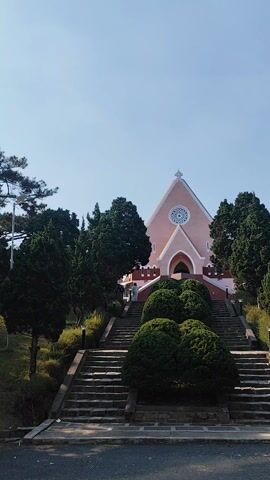 The video shows a low-angle view of a pink church with a white cross atop its pointed roof. The church has a large, circular window design and is flanked by tall green trees. A wide set of stone stairs, lined with trimmed bushes, leads up to the church entrance. The sky is clear and blue.