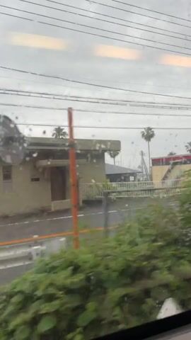 The video shows a view from a moving vehicle, likely a train, looking out a rain-streaked window. The scene outside is a suburban or semi-rural landscape under an overcast sky. In the foreground, lush green vegetation obscures some of the view. Further back, there are various buildings, including a single-story house with a grey roof and light-colored walls, and several other structures with multi-colored facades, including a building with a green dome and another with blue and yellow accents. There are palm trees visible. A paved area, possibly a parking lot, is visible with several cars parked, including white vans, a dark grey SUV, and other smaller vehicles. Electrical wires and utility poles crisscross the sky. The weather appears to be rainy, as evidenced by the water droplets on the window. No people are clearly visible.