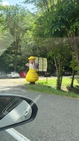 The video shows an inflatable advertising figure of a woman wearing a yellow dress and hat, holding a bunch of purple flowers. The figure is positioned outdoors near a road and a parking lot with several cars. Trees and greenery form the background, suggesting a natural or park-like setting. Text is visible on the inflatable figure, but it is not legible. The camera is inside a vehicle, likely a car, as a side mirror is visible in the lower left corner of the frame. The lighting suggests it is daytime, with sunlight filtering through the trees.