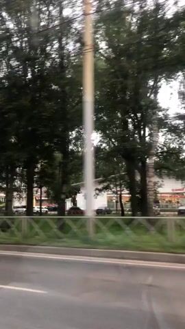 The video shows a view from a moving vehicle, likely a car, looking out a side window. The road is in the foreground, appearing wet, suggesting it may have rained recently. Beyond the road, a metal fence separates the road from a grassy area. Behind the fence, tall trees line the street, obscuring much of the background. In the distance, apartment buildings with visible windows and balconies can be seen. Several cars are parked or driving in the background. A black SUV is visible in the middle distance. The overall impression is of a suburban or residential area.