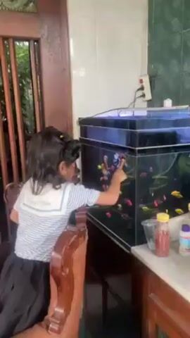 A little girl with dark curly hair is feeding fish in an aquarium. She is wearing a white and blue striped shirt with a dark skirt and is sitting on a wooden chair. The aquarium is large and rectangular, filled with colorful fish and some aquatic plants. There are bottles of fish food and supplies on a marble countertop next to the aquarium. A wooden door is visible to the left, leading to an outdoor area with greenery. The background includes white tiled walls and a green tiled section near an electrical outlet. The girl reaches into the aquarium to feed the fish, her arm partially submerged in the water.