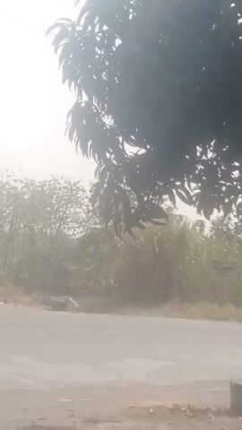 A motorcycle with a rider wearing a red shirt and a white box on the back is seen driving on a dirt road under a tree. The sun is shining brightly, creating a hazy effect. There are trees and bushes in the background, as well as a signpost. The road appears to be dusty.