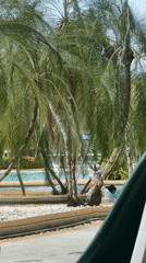 Morning tropical scenes captured in Patong, Thailand resort area