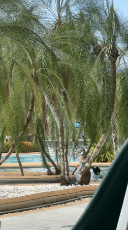 Morning tropical scenes captured in Patong, Thailand resort area