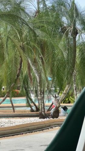 Morning tropical scenes captured in Patong, Thailand resort area