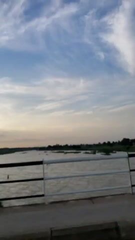 The video opens from a fixed perspective looking over a body of water, likely a river. A metal railing, consisting of black horizontal bars supported by white posts, is visible in the foreground, separating the viewer from the water. Beyond the railing, the water surface is visible, with some ripples and small dark objects that could be birds or debris. The far bank of the river is lined with green vegetation and trees under a pale blue sky with wispy white clouds. The scene appears to be captured during daylight, possibly late afternoon or early morning, as the light is soft. The camera then begins to pan slowly to the right, revealing more of the river and the vegetated shoreline. A large, leafy green tree dominates the middle ground as the camera continues to move. The sky remains consistent with the initial view. The panning continues, showing more of the landscape which includes more trees and foliage along the riverbank, with a clear horizon line. The video appears to be a short, unedited clip.