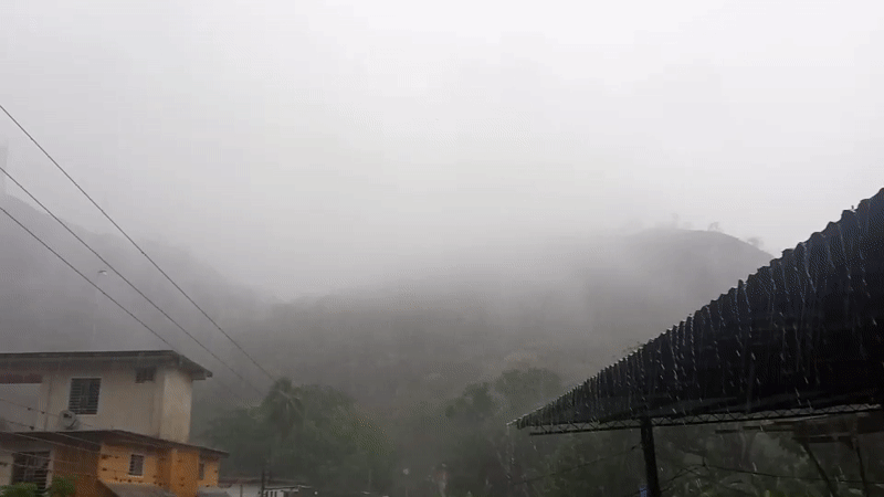 Foggy rainy weather blankets El Limón Venezuela residential area