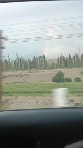The video is filmed from inside a vehicle, looking out the side window. A portion of a person's head and shoulder is visible in the lower foreground. The landscape outside consists of a row of tall, thin trees lining a dirt road or field. Beyond the trees, the sky is cloudy and appears to be overcast with a faint rainbow visible in the distance. The overall impression is of a rural or undeveloped area.