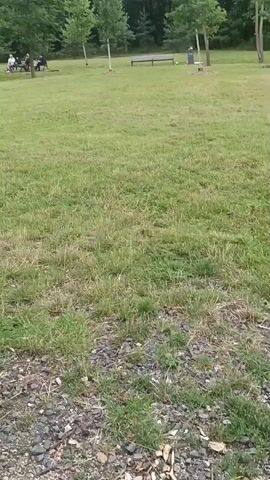 The video begins with a low-angle, close-up shot of gravel and grass. The camera pans slightly upwards, revealing a grassy park with trees in the background. Several people are seated at a picnic table in the distance on the left side of the frame. A park bench and a trash can are visible further back. As the camera continues to pan and tilt upwards, a person's legs and feet, wearing gray athletic shoes and black pants, come into view in the foreground, indicating the camera is being held by someone sitting down. The scene is outdoors, with natural lighting, suggesting daytime. The environment appears to be a recreational area or park.
