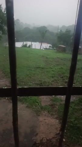 The video shows a view through a barred window looking out onto a green, grassy area with a body of water in the distance. It appears to be raining heavily, as evidenced by the streaks of rain visible on the bars of the window and the general misty atmosphere. The landscape is lush with trees and foliage, suggesting a natural or rural setting. There are no people or clear human activity visible in the frame. The overall mood is somber and overcast due to the weather conditions.