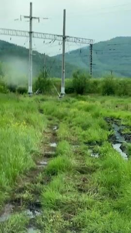 The video shows a muddy field with patches of green grass and small yellow flowers. Several large, grey utility poles with electrical wires stretch across the background. The sky is overcast. The camera appears to be moving, giving a sense of travel.