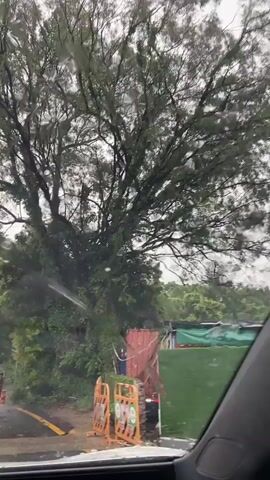 The video shows a view from inside a vehicle, looking out through the windshield. It is raining, with raindrops visible on the glass. The vehicle appears to be on a road with a yellow line on the left side. To the right of the road, there are some orange traffic barriers and what appears to be a construction area with red and blue tarps or sheeting. A large tree with dense foliage is prominent in the background. The camera is moving, suggesting the vehicle is in motion. There are at least two figures visible in the construction area, one wearing blue and another possibly in pink, but their actions are not clear. The overall environment is lush and green, indicating a natural setting.