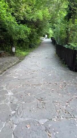 A first-person perspective video shows a paved pathway descending gently through a wooded area. The pathway is constructed of large, irregularly shaped gray flagstones. The area is densely vegetated with lush green trees and bushes on both sides. On the left side of the path, there is a wooden bench and a trash receptacle. A dark wooden fence runs along the right side of the path, separating it from a lower area. The sky is overcast, and the lighting suggests it is daytime, likely morning or late afternoon. The overall atmosphere is peaceful and natural.