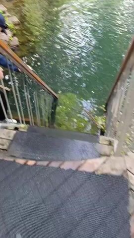 A person wearing a blue jacket, black pants, white sneakers, and a dark baseball cap is leaning over a railing next to a body of water. The person is reaching their hand towards the water. The scene appears to be outdoors, with rocky terrain and greenery visible in the background along the edge of the water. The water is clear, and some aquatic plants are visible. There are wooden stairs with metal grates leading down towards the water, and a metal railing attached to the stairs and the edge of the water. The time of day appears to be daytime, likely late morning or afternoon, as the lighting is bright, and there are no strong shadows. The weather appears to be mild and possibly sunny, given the clear water and vibrant greenery. The overall mood seems to be one of curiosity or interaction with the natural environment. The location context provided is Sdt Shcherbakovka, Russia. There is no visible text in the media file.