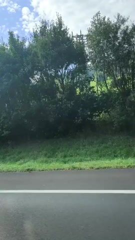 The video shows a view from a moving vehicle. A roadside verge with green grass is visible, bordered by a road with a white line. Beyond the verge, there is a fence and a dense forest of evergreen trees. The sky above is blue with scattered white clouds. The camera pans slightly to the right, revealing more of the wooded hillside and the road. The overall impression is that of a scenic drive through a natural landscape.